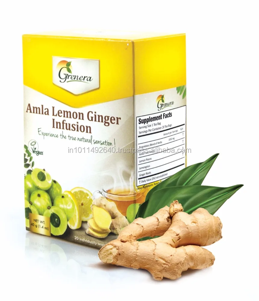 Great Phyllanthus Emblica Extract Powder