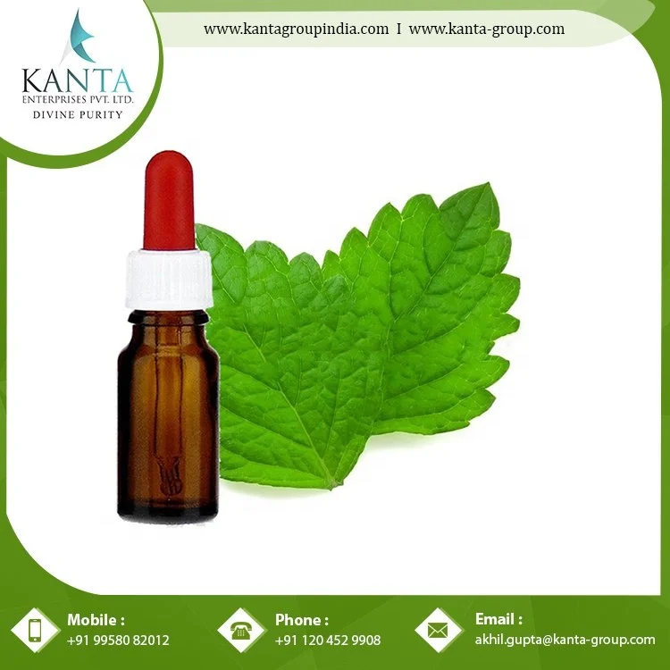 Bulk Supply  Peppermint Essential Oil Used for Pain Relief and skin Care Available at Low Price from Indian Exporter