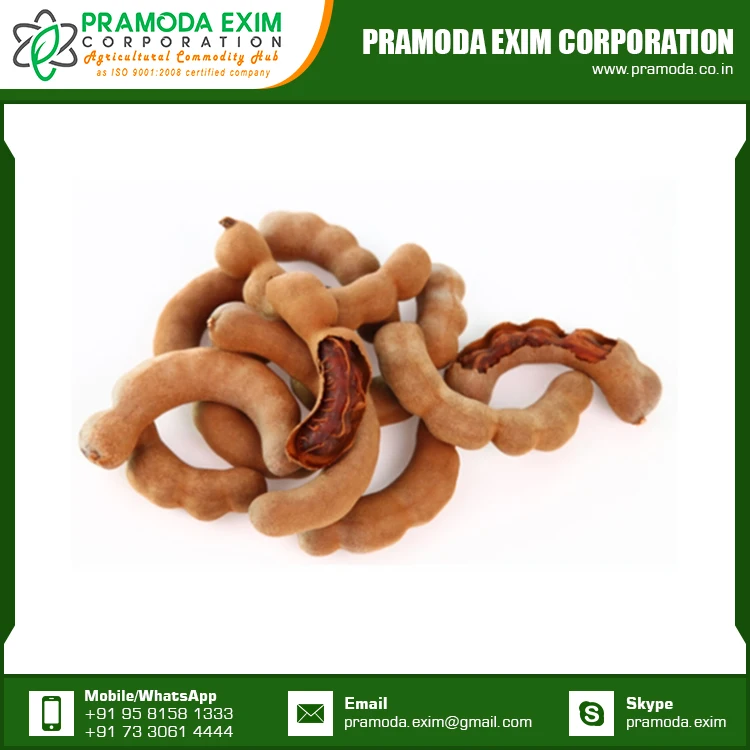 New Crop Organic Tamarind Fresh
