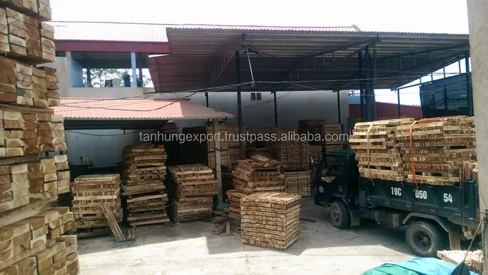 Древесина акации-Древесина акации