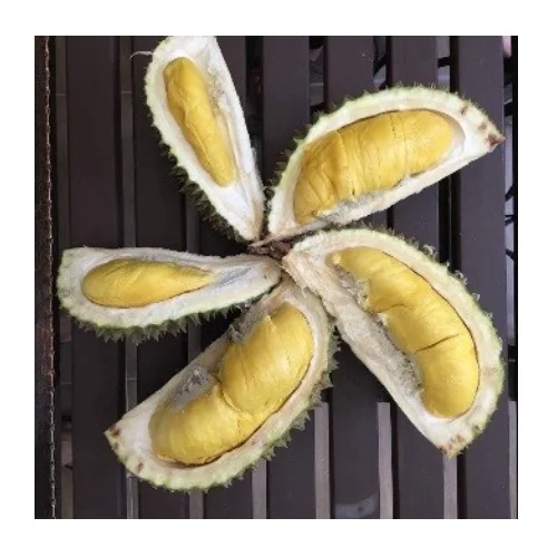 D197 Musang King Frozen Durian Pulp in Malaysia