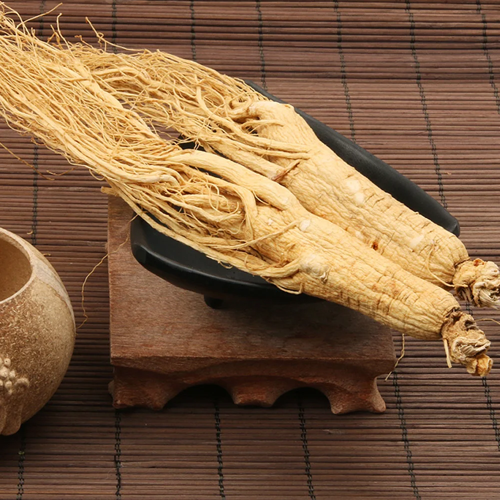 white & Red Ginseng Root for sale