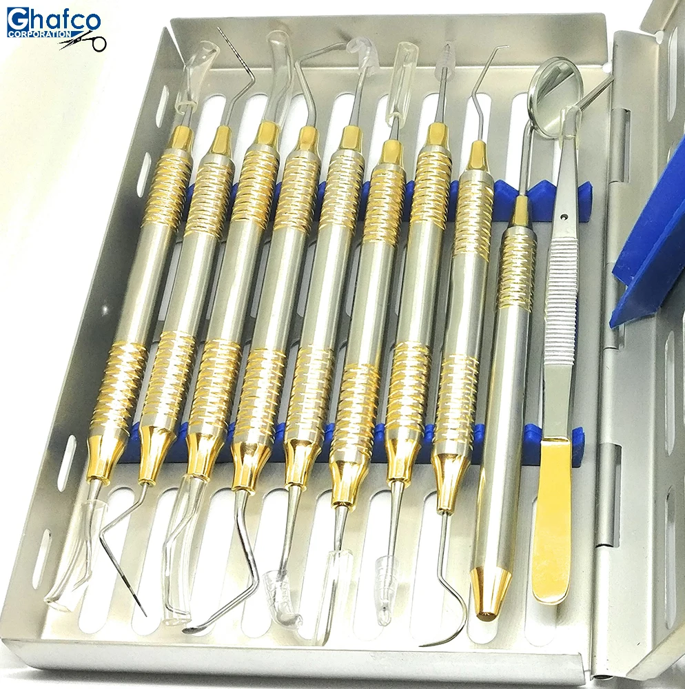 PREMIUM BASIC ORAL DENTAL INSTRUMENTS SET KIT DENTAL HIGH QUALITY TOOLS KIT