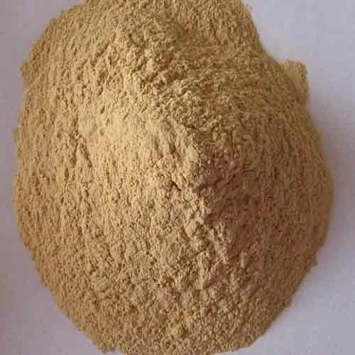 Coconut Shell Powder From VietNam- Best Quality, Best Prices
