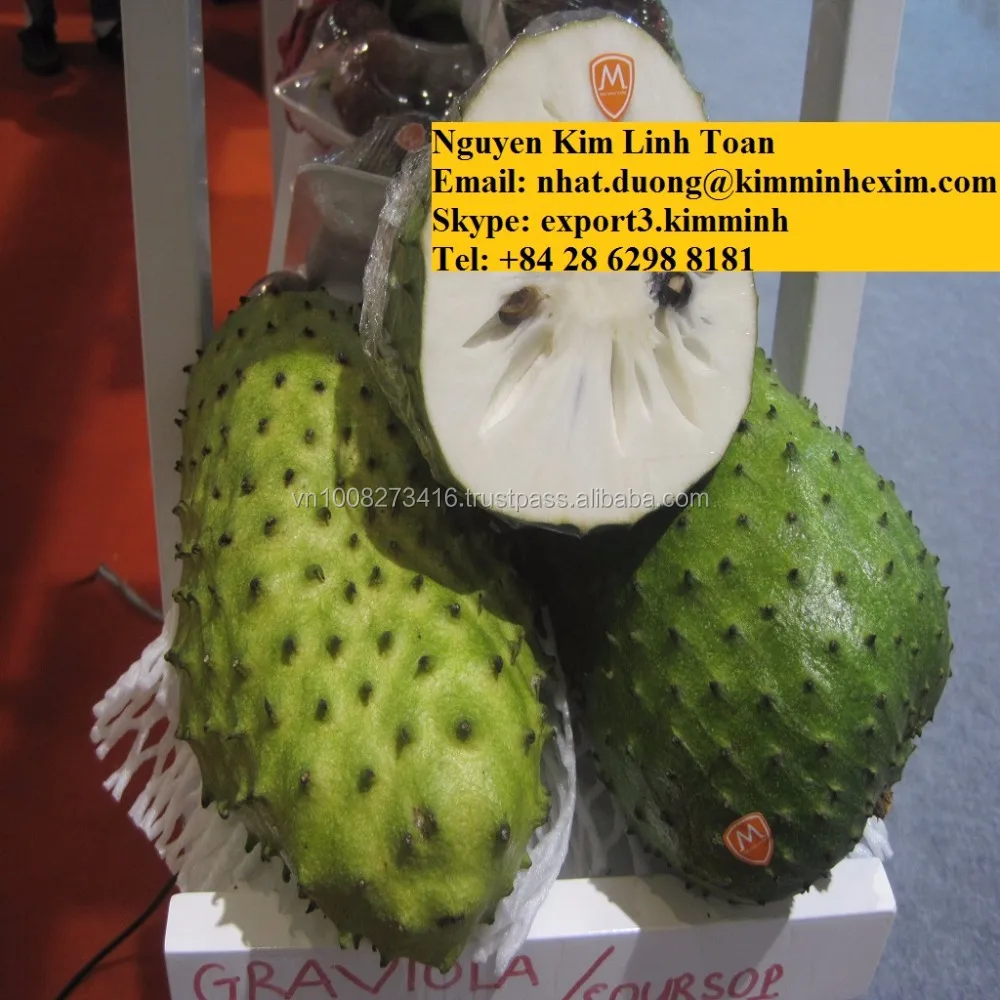 FRESH SOURSOP FRUIT (GRAVIOLA)