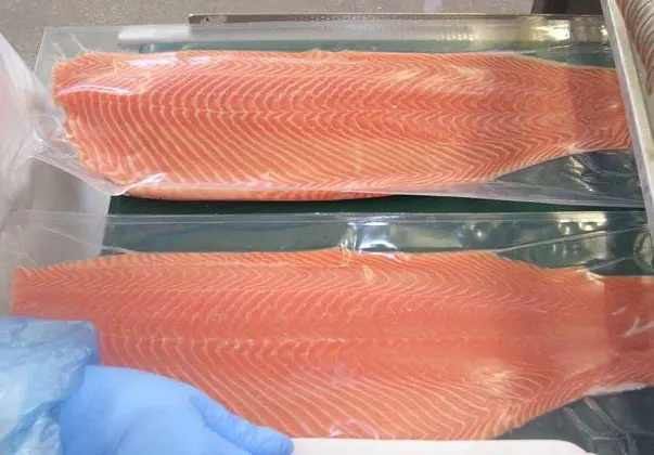 Frozen Salmon Fish Fillets/Fresh, Frozen Salmon/ Pink Salmon Fillet Frozen Salmon Fish