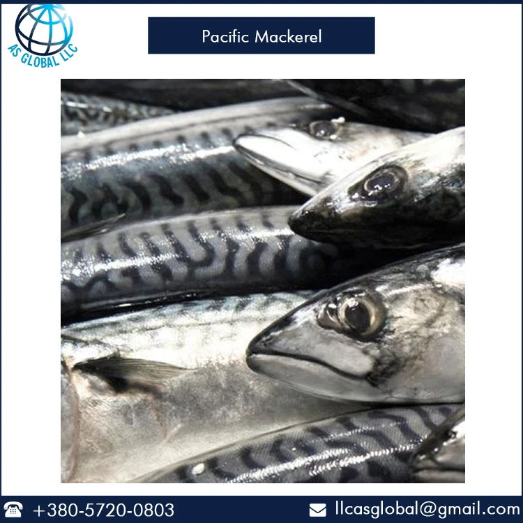  Fresh Frozen Fish Pacific