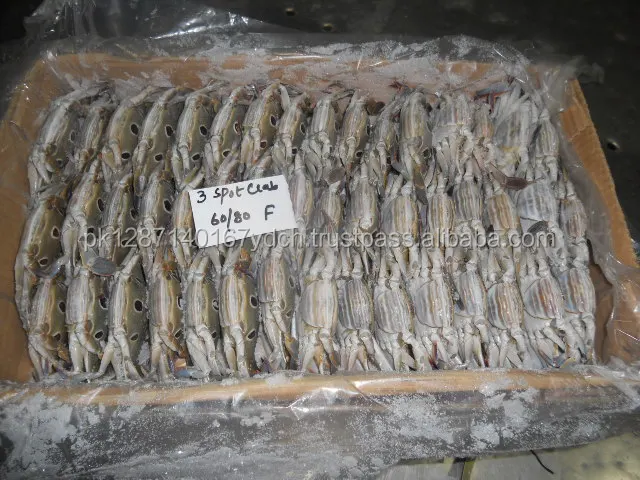 Frozen 3 Spot Crab - Mud Crab - Blue Swimming Crab