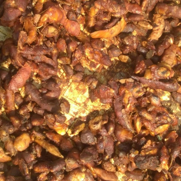 Тамаринда с