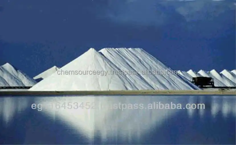 Raw Salt High Purity Raw Sea Sodium Organic Salt Nacl Sodium Chloride Salt from Egypt for Industry CSE