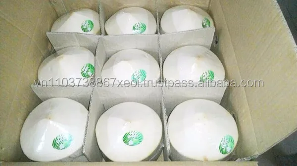 organic coconut water/fresh coconut/vietnam fresh coconut in 2020
