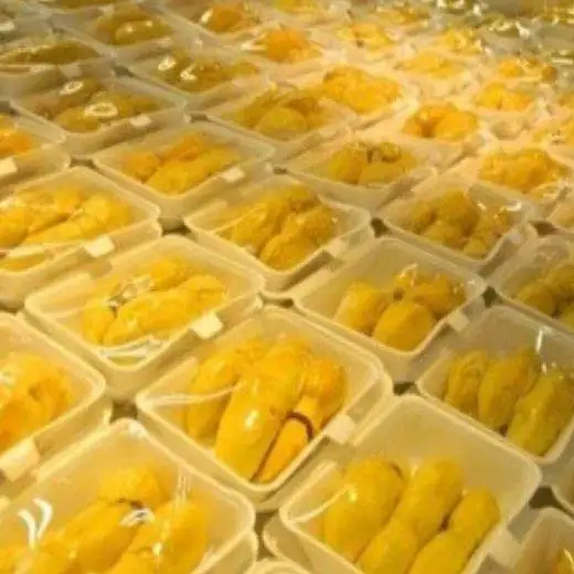 fresh durian / frozen durian from Vietnam with best price in 2020 / Whatsapp +84 84563639