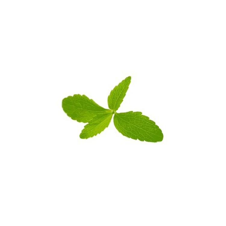 Stevia Leaves