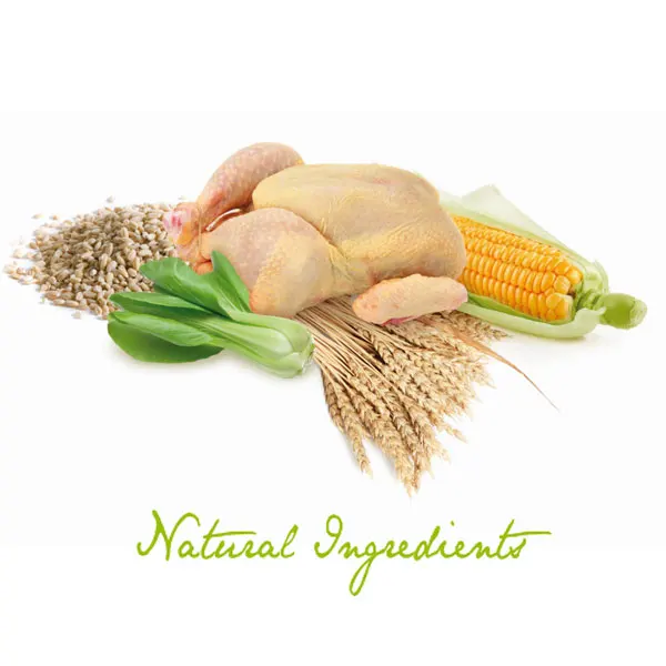 
Dog food with chicken, vegetables and rice. Adult dogs of small breeds 