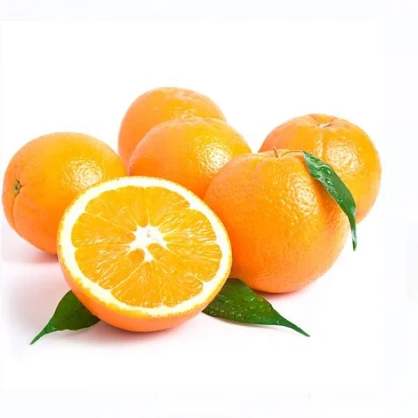 
Premium fresh navel oranges 