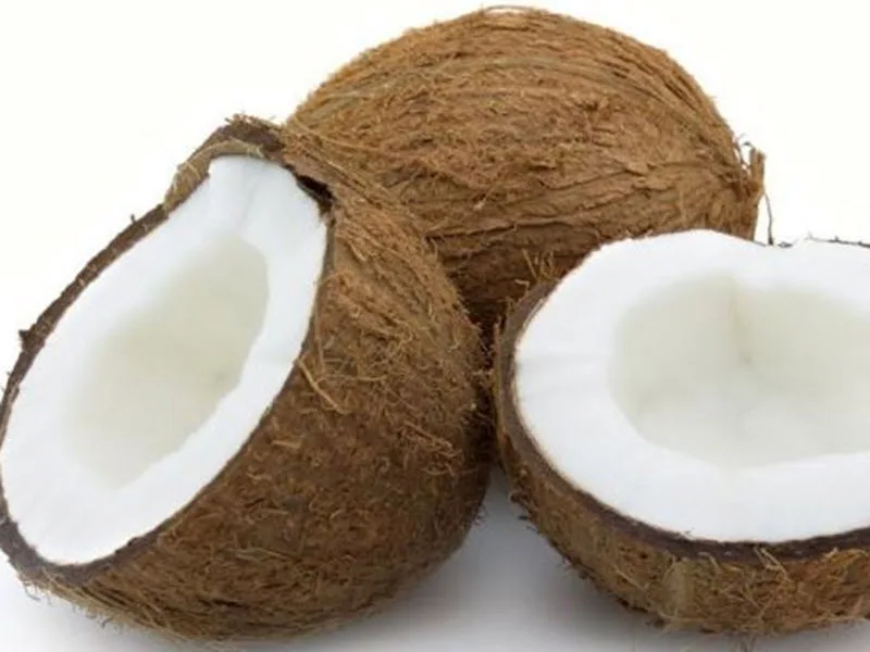 
Semi-Husked Coconut from Vietnam/Cheap fresh Mature Brown Coconut High quality 