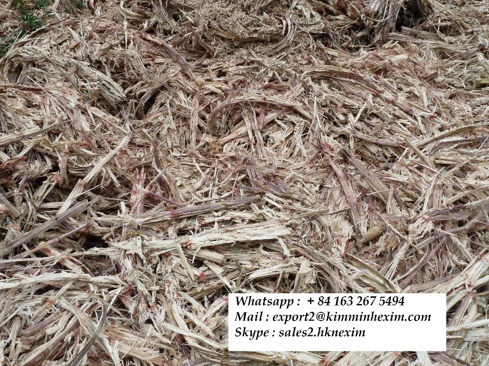 SUGARCANE BAGASSE FROM VIETNAM