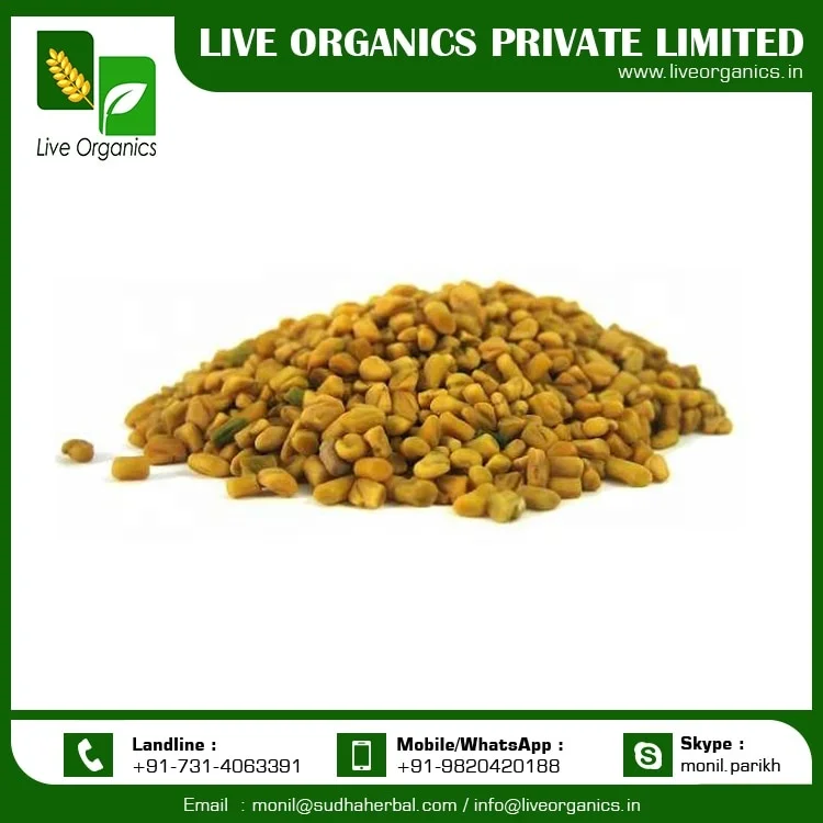 
Fenugreek Seeds from India 