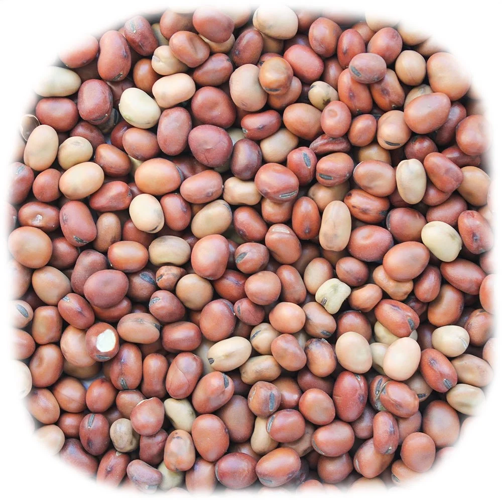 
Buy Beans from Ukraine 