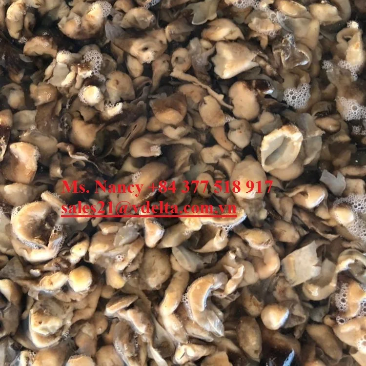 
SALTED PADDY STRAW MUSHROOM FROM VIETNAM WITH BEST PRICE // Ms.Nancy +84 377 518 917 