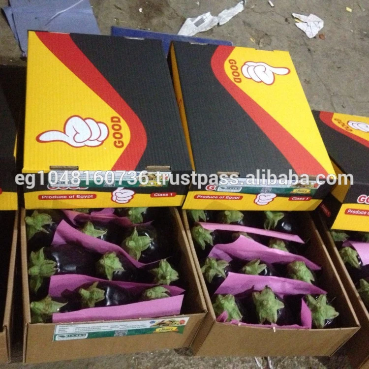 
Fresh Style Eggplant (Rommy type) 