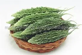
BITTERGOURD SEED MARUTI ABHISHEK F1 HY (VEGETABLE SEED) 