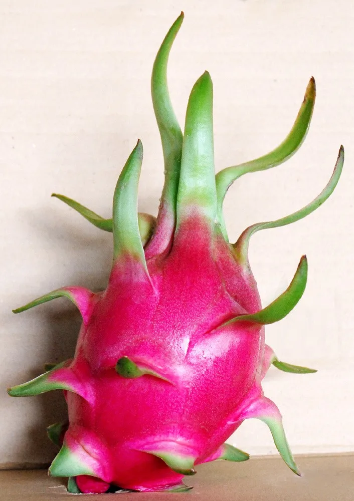 FRESH DRAGON FRUIT FROM VIETNAM  with the high quality 2020 - contact to +84 845 639 639