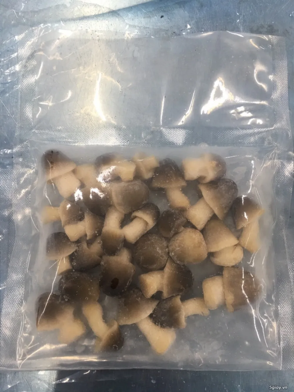 MUSHROOM IN CAN AND DRUM BEST PRICE