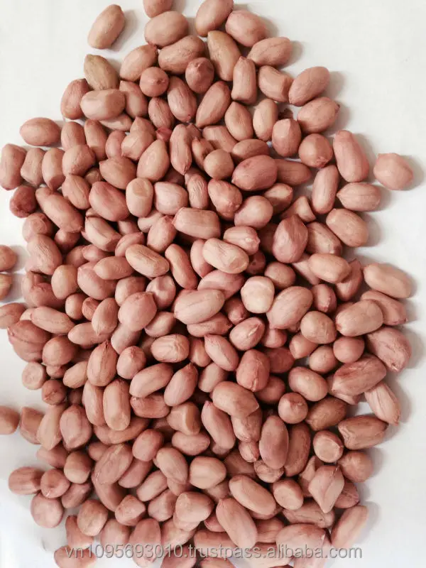
Good quality peanut from Viet Nam for sale 