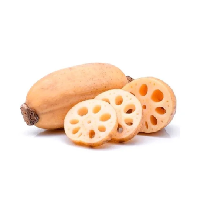 Viet Nam lotus root fresh frozen