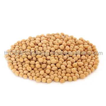 organic green agriculture products natural yellow soybean