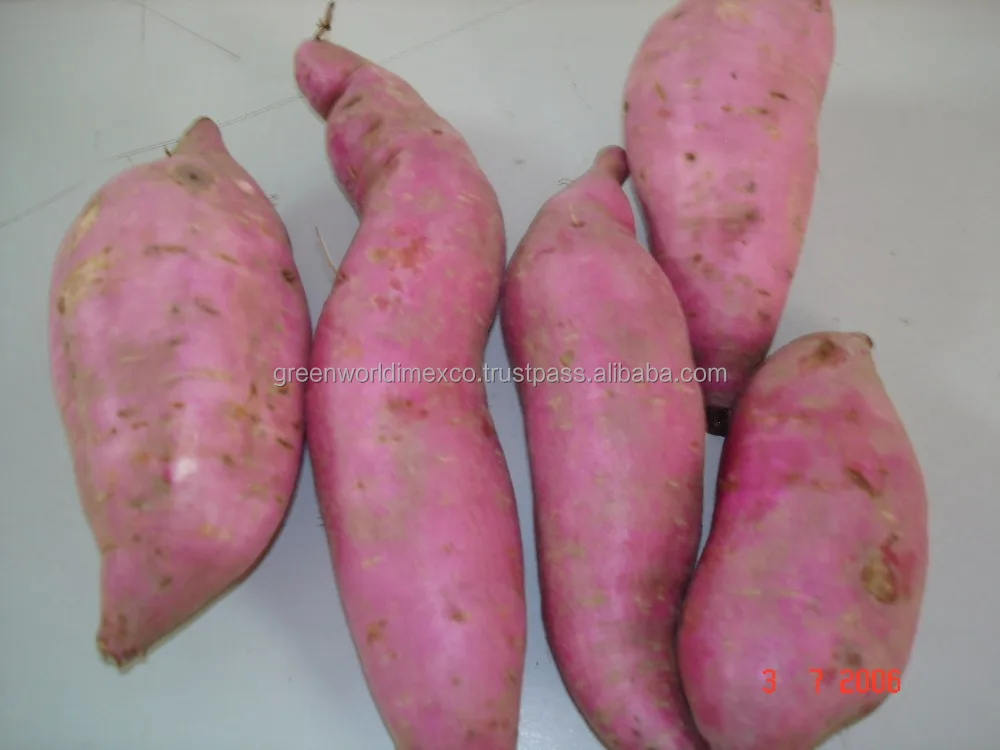 ORGANIC PURPLE SWEET POTATO _ GOOD PRICE _ HIGH QUALITY