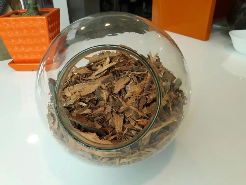 Сломанная
