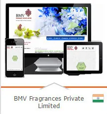 Small Business Opal Infotech makes Responsive Website Design and Development for Malaysia