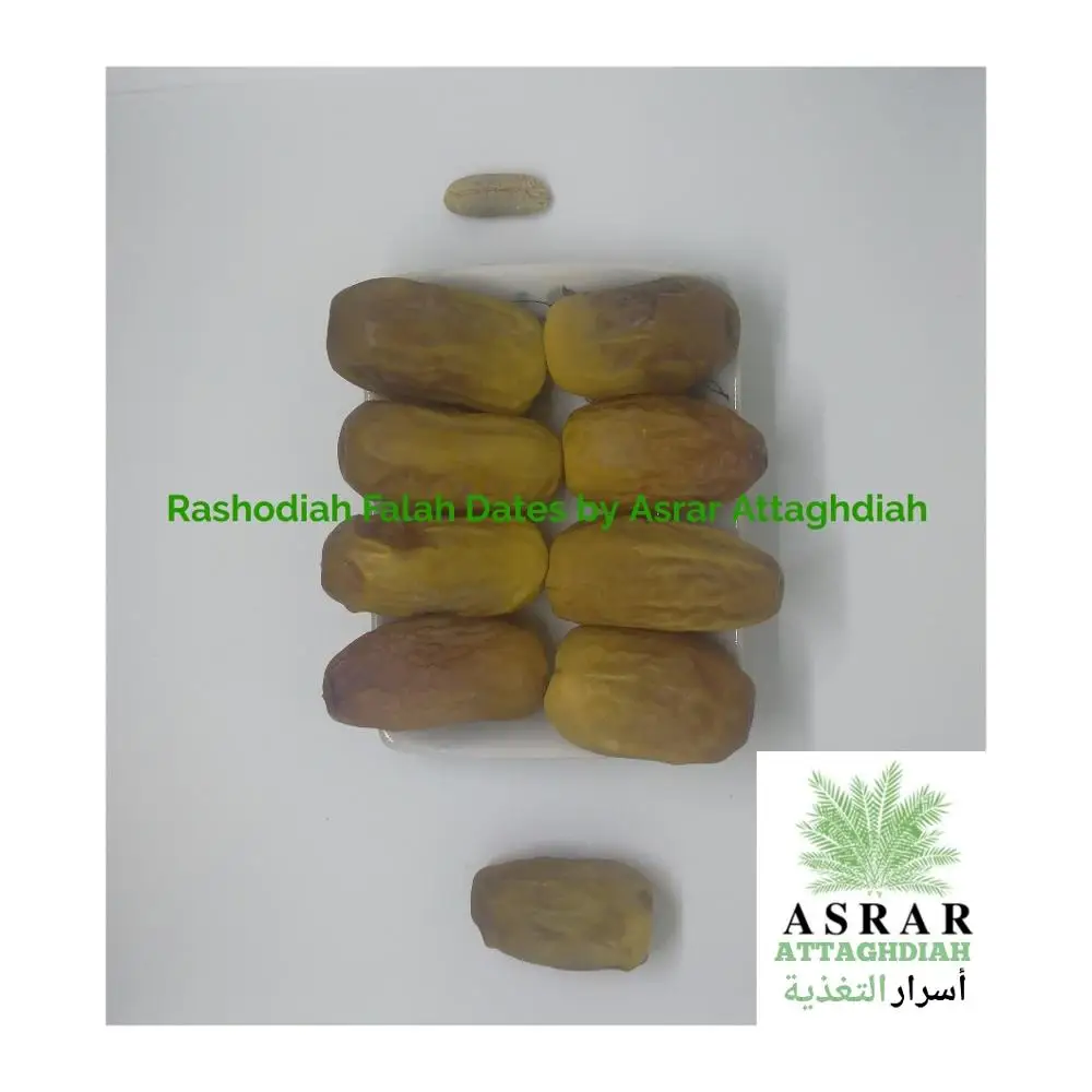 
Rashodiah Dates | 100% Premium Natural Saudi Dates 