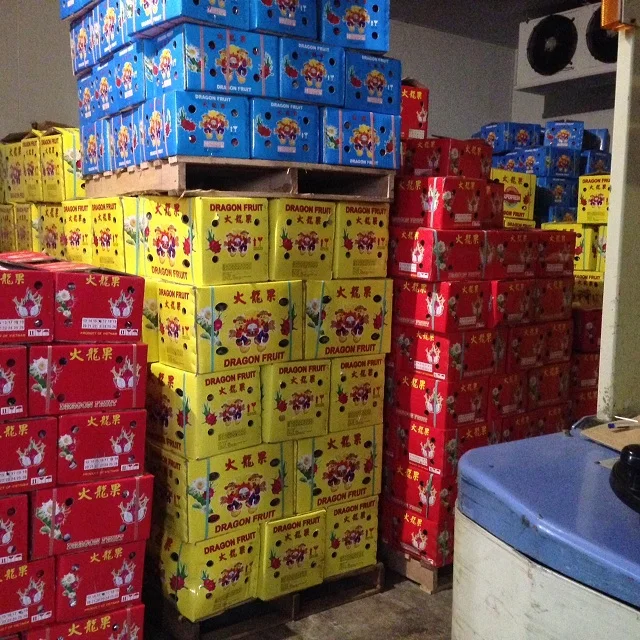 
Fresh dragonfruit/ dragon fruit good price, good quality 