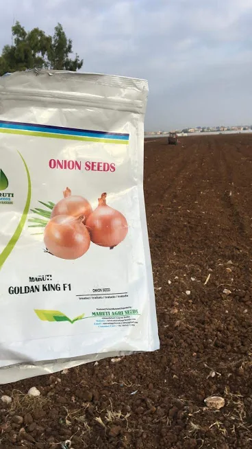 Семена лука TEXAS GRANO