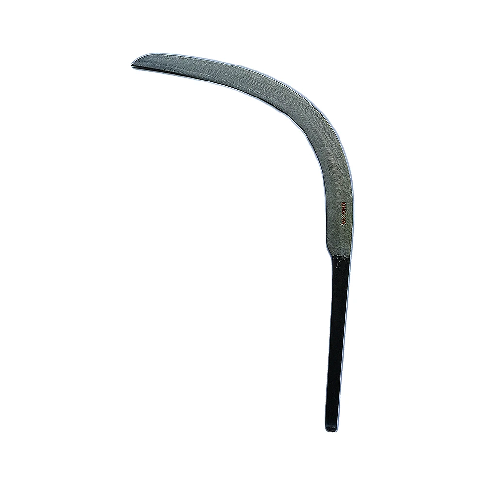 Лучшая семена урожая Kingoya [Белая кривая]-пружинная сталь, Малайзия, лучшая семена сабоба Egrek