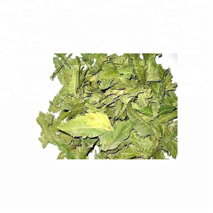 India Wholesaler Natural Organic Neem Extract Leaf