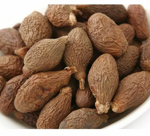 Somraon/ MALVA NUT / PANG DA HAI /Sterculia lychnophora/WHATSAPP +84-845-639-639