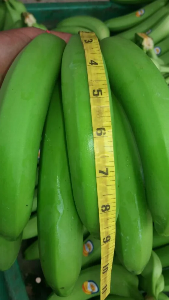 BANANAS PREMIUM from ECUADOR