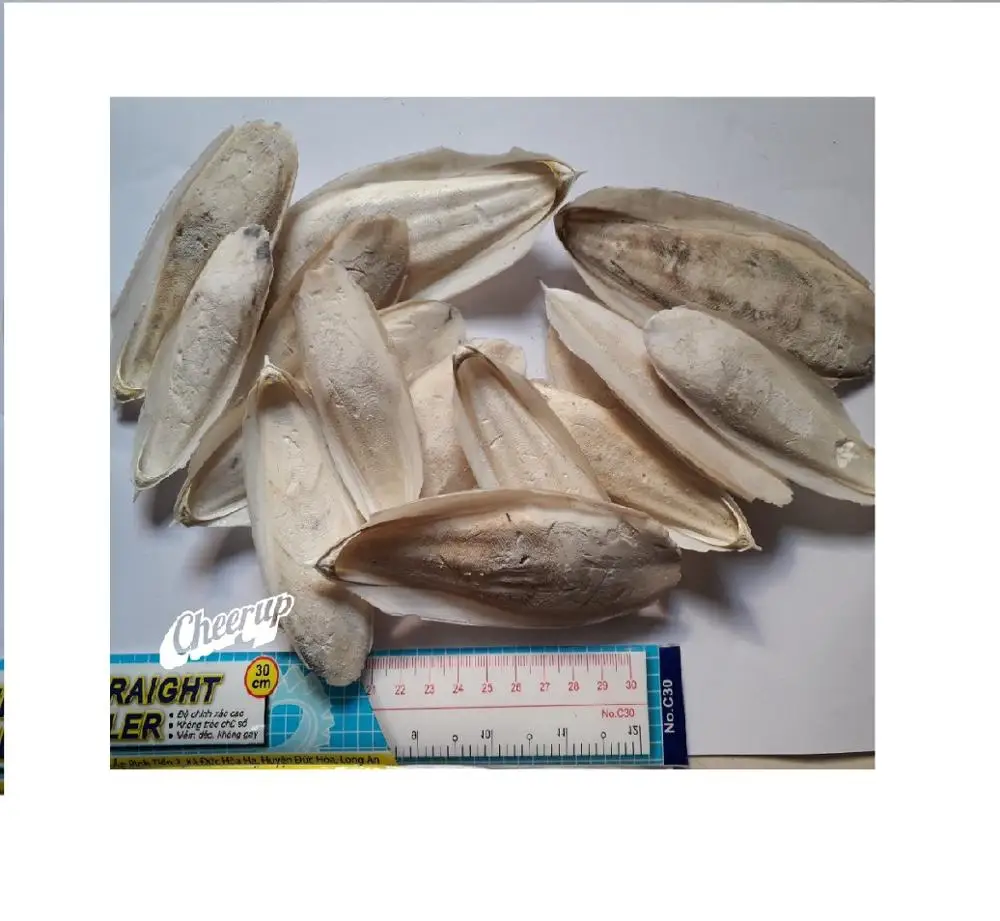 
Hot sale dried cuttlefish bone/ cuttlefish from factory( MS.HOLIDAY Whatsapp +84-845-639-639 ) 