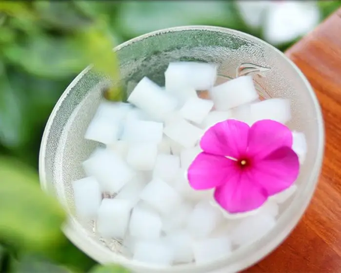 Высококачественное кокосовое желе/Сырье NATA DE COCO высокое качество и низкая цена во Вьетнаме MS JENNY