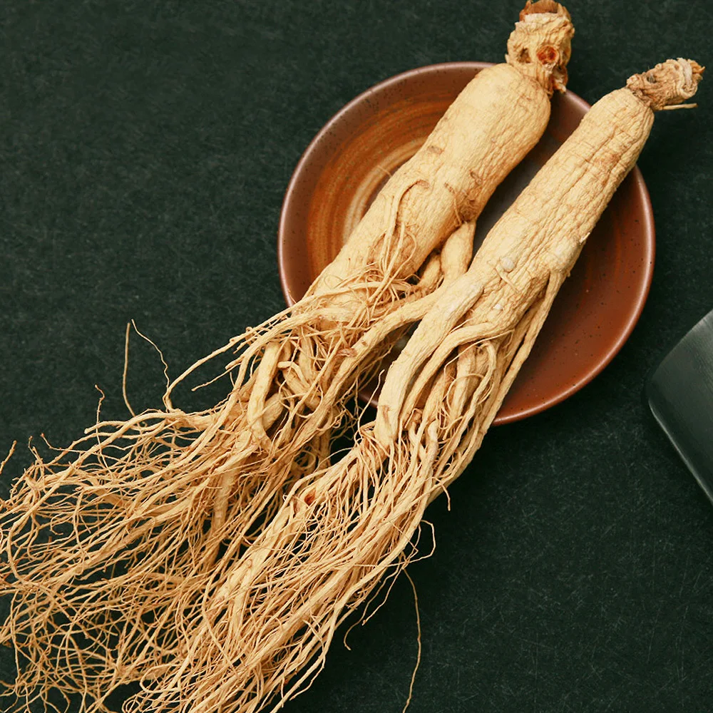 white & Red Ginseng Root for sale