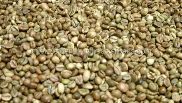  Вьетнамский кофейный экран ROBUSTA S16/зеленые кофейные зерна (WHATSAPP: 0084 164 9078