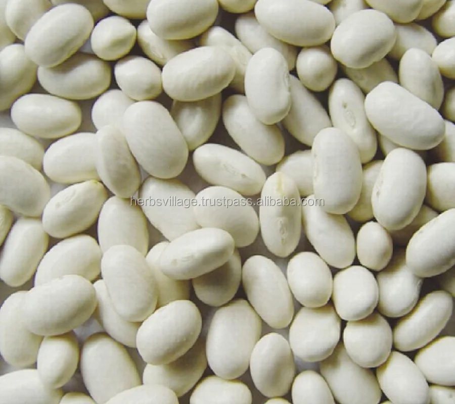 GMP/ISO Certified White Kidney Beans Extract Powder