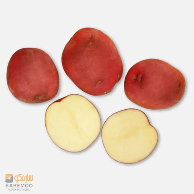Упаковка сетчатых пакетов/картофель из красной кожи на экспорт оптом/продукт хорошего качества/картофель Rosetta для леди