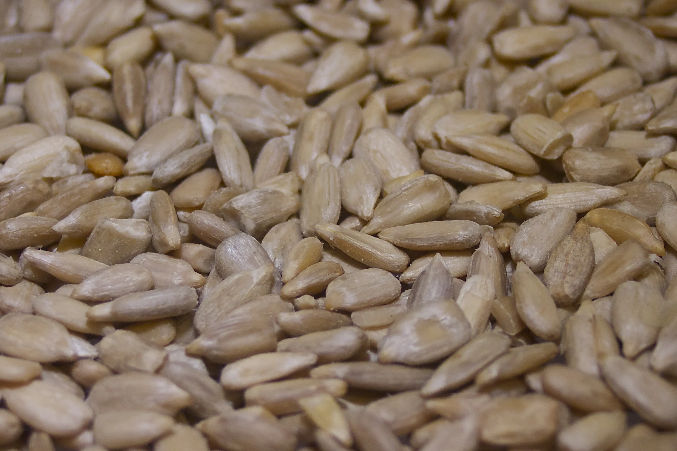 Confectionary Sunflower Kernels Bakery Top Grade Wholesale Sunflower Seeds For Sale In Cheap Price