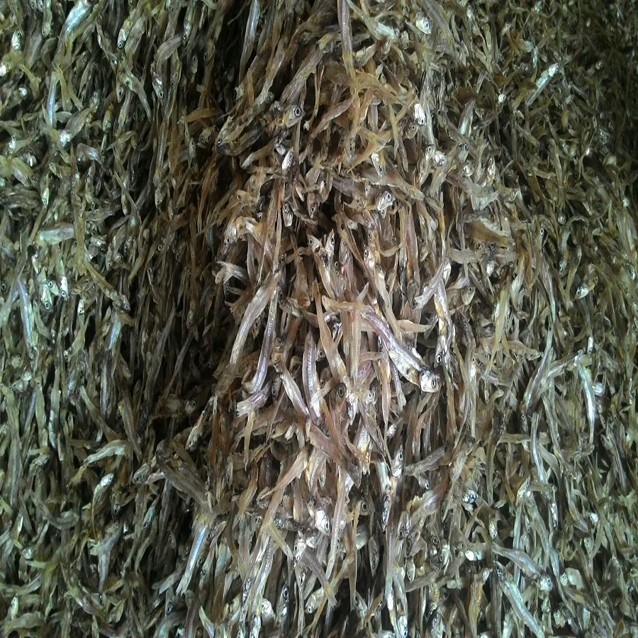 
GOOD QUALITY DRIED SPRATS/ANCHOVY BY SUN 
