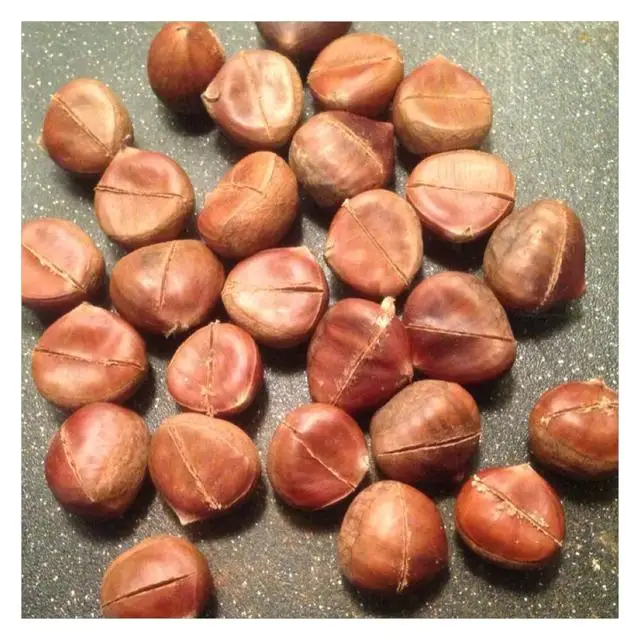 Fresh  2022 sweet china chestnut for sale